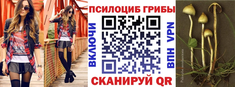 Псилоцибиновые грибы мухоморы  цена наркотик  Электросталь 